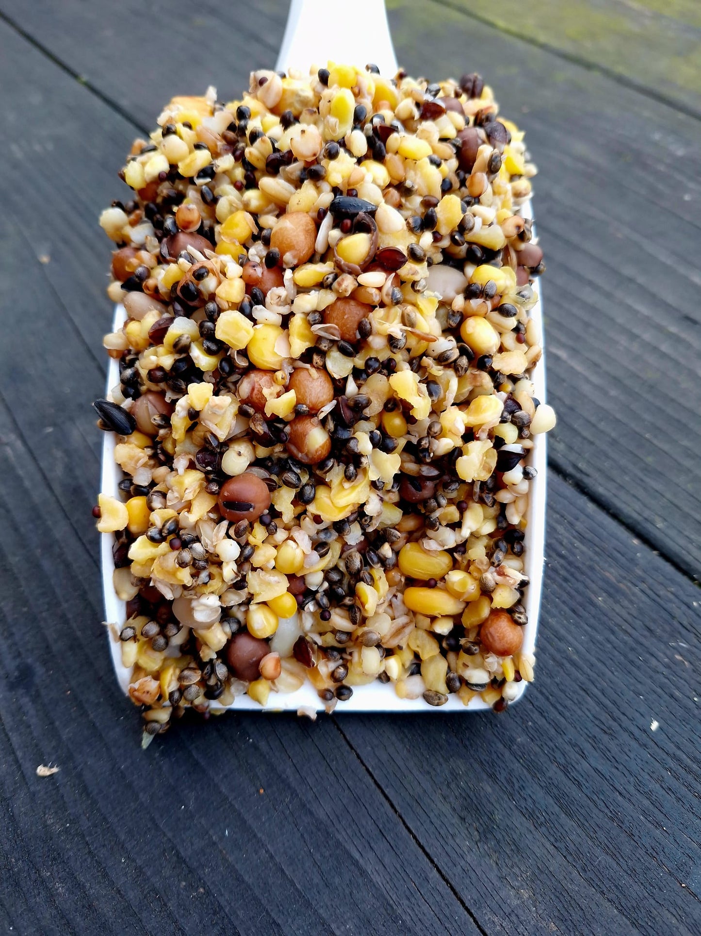 Bitz Mix Particle Mix 1.8kg - Grab and go bag