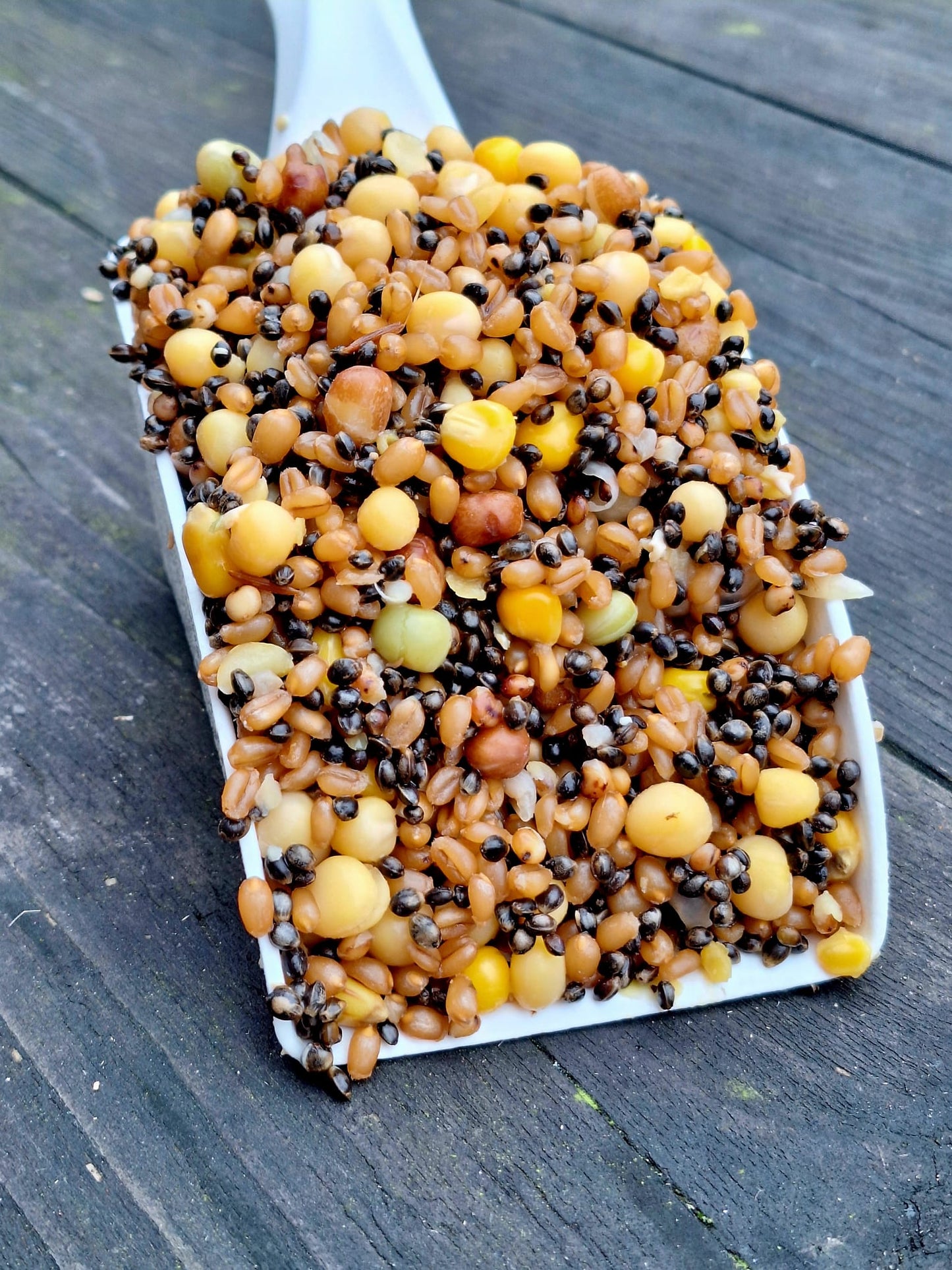 Maple and Chilli Particle Mix 1.8kg - Grab and go bag